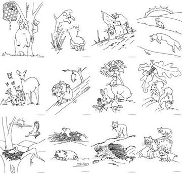 Animals Found In The Woods Coloring Pages 9